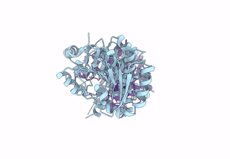 9E4X image