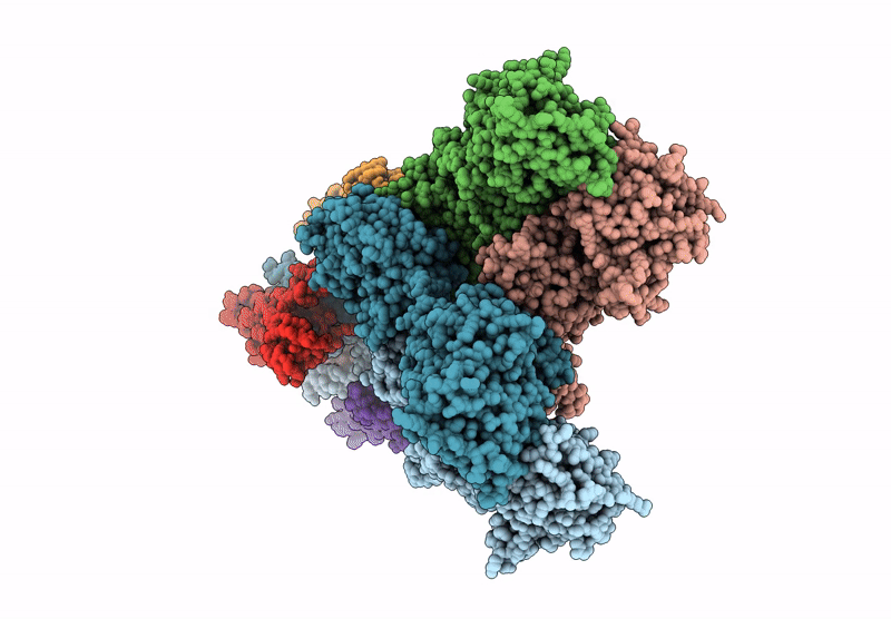 9E4Z image