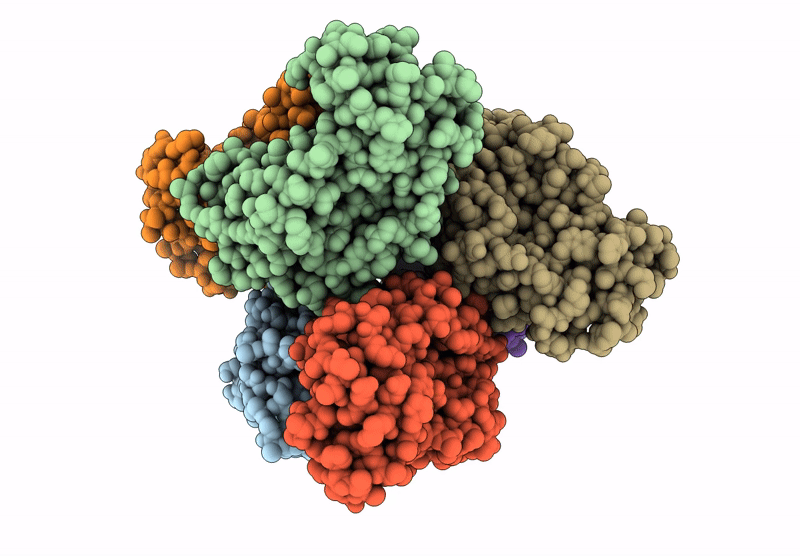 9E5G image