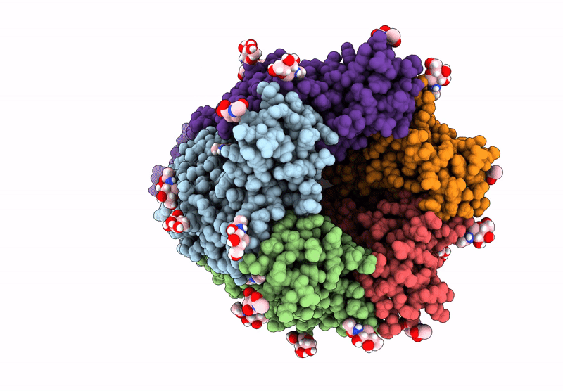 9E6C image