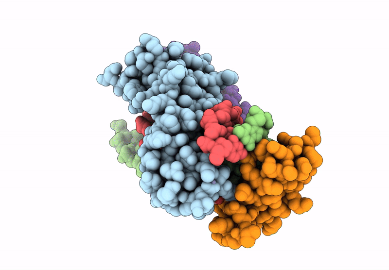 9E6R image