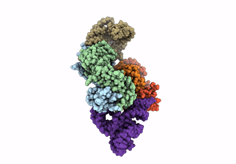 9E7D image