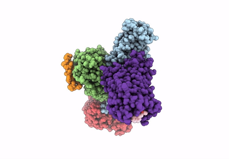 9E7R image