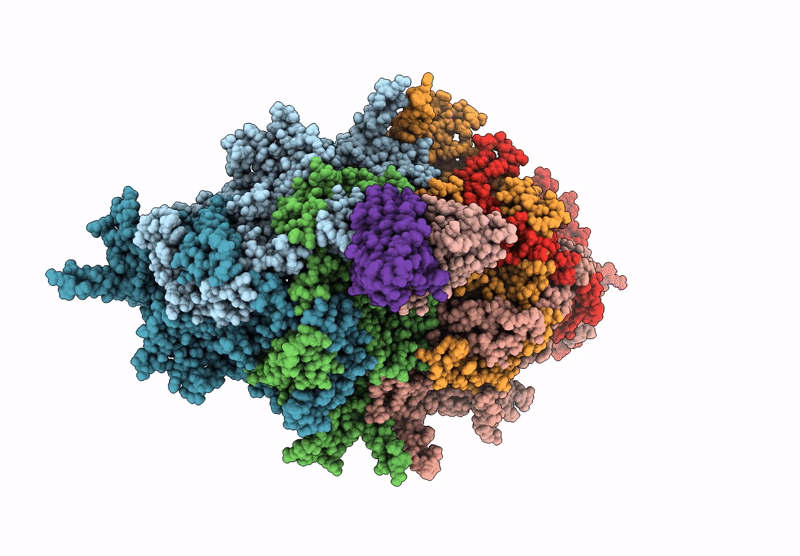 9E7X image