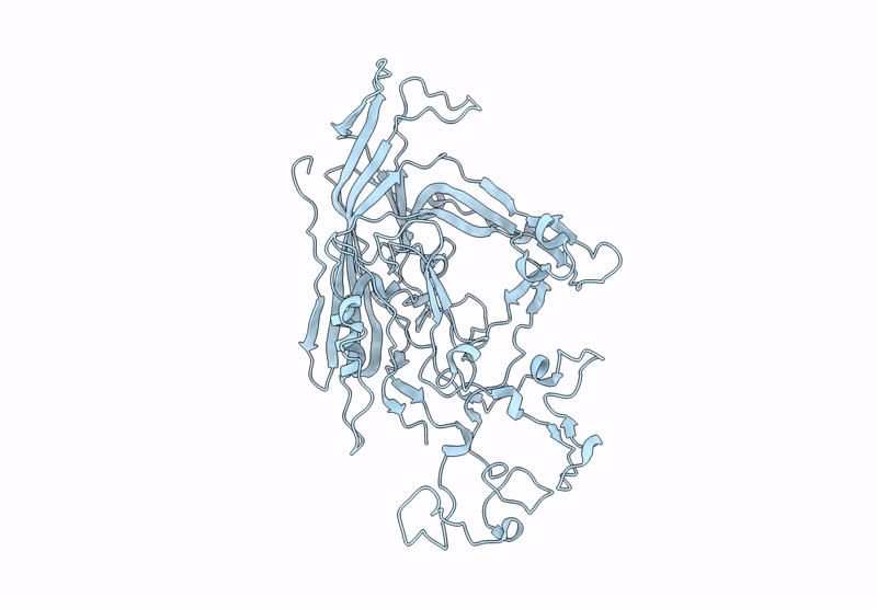 9E7Z image