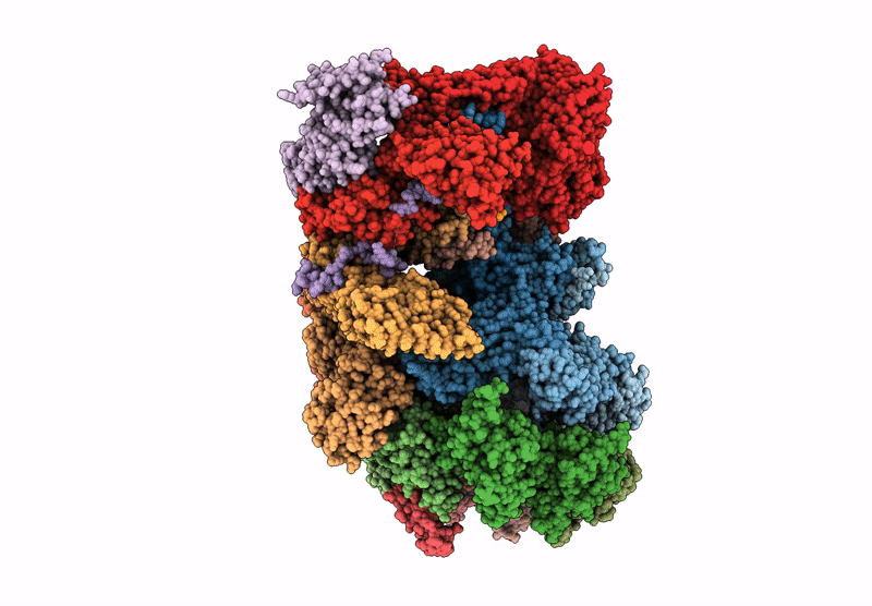 9E8K image