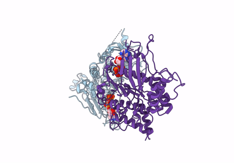 9E91 image