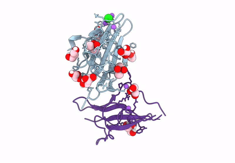 9E9G image
