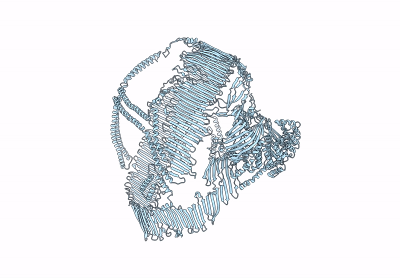 9E9R image