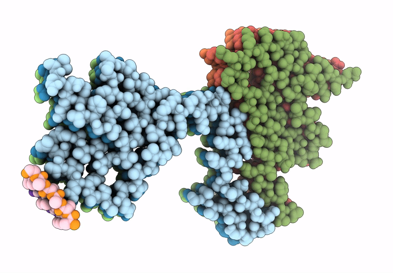 9E9X image