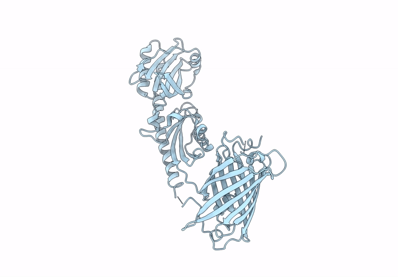 9EBX image