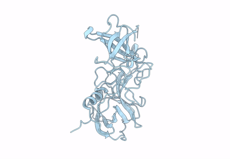 9EDP image