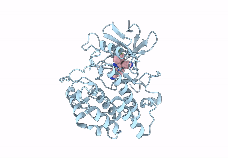 9EDV image
