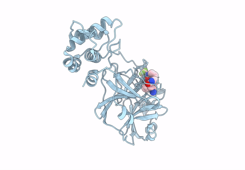 9EEV image