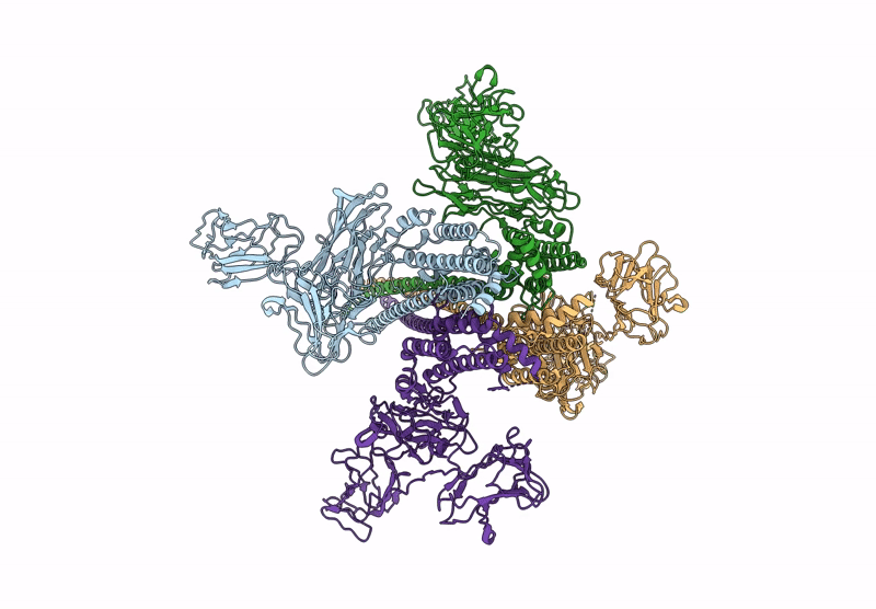 9EFG image