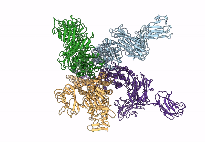 9EFI image