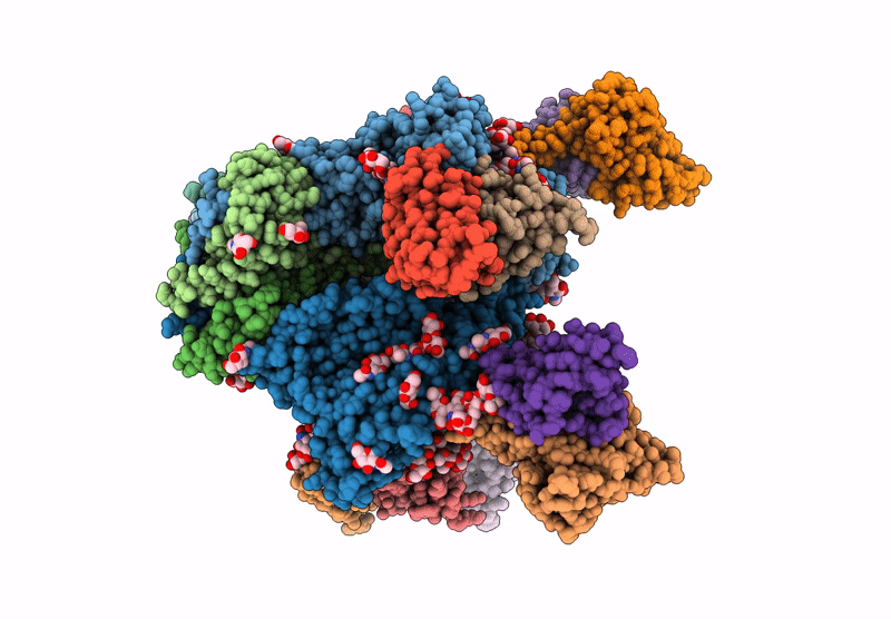 9EHL image