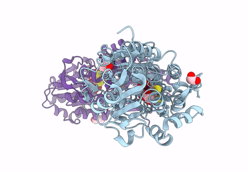 9EIA image