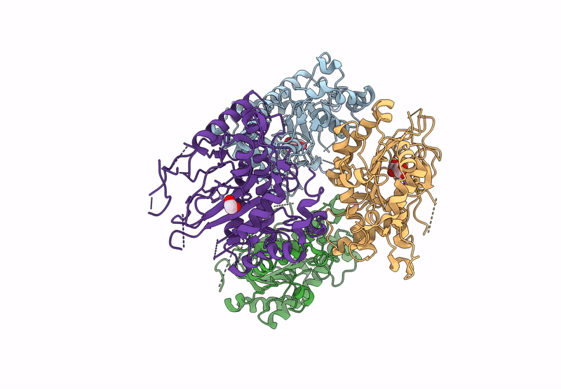 9EIS image