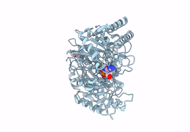 9EJ2 image