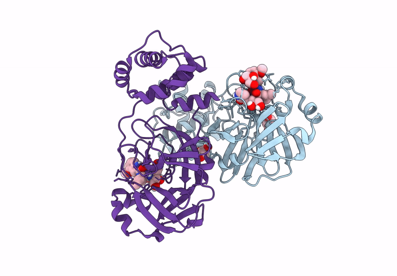 9ELV image