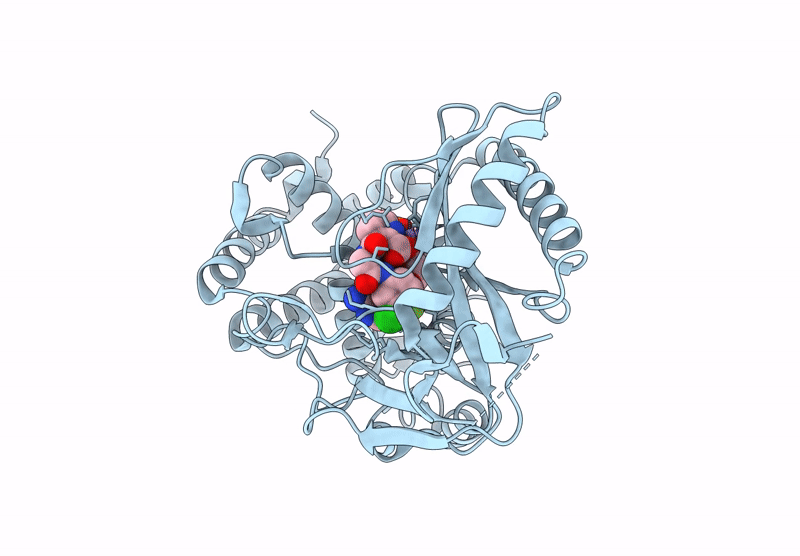 9ELX image