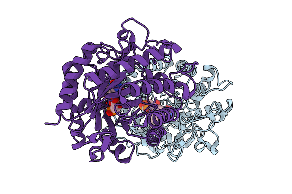 9EM2 image