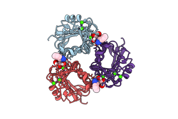 9EMR image