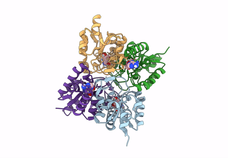 9EMX image