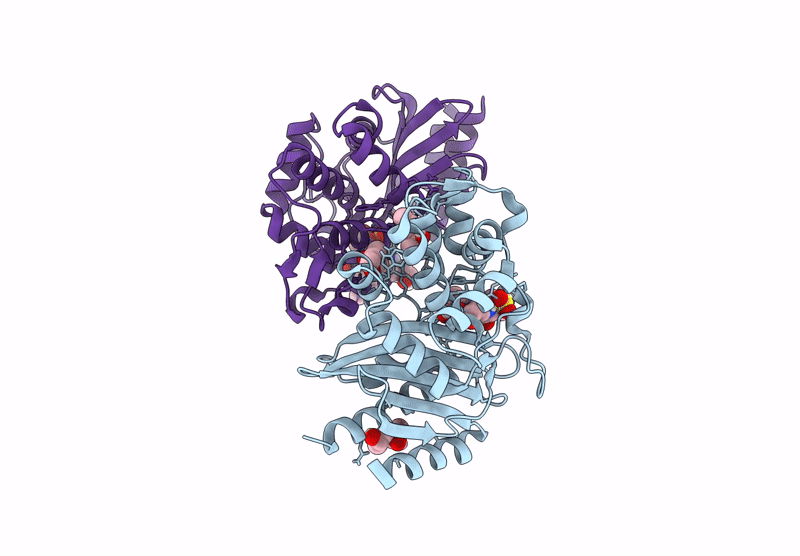9ENX image