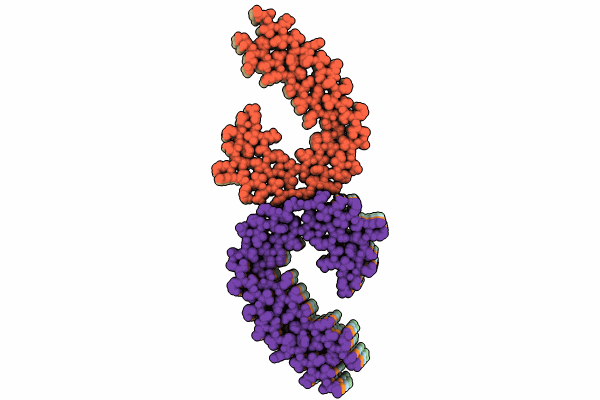 9EOG image