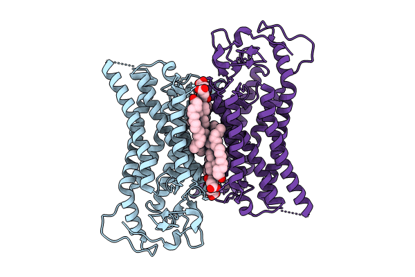 9EPO image