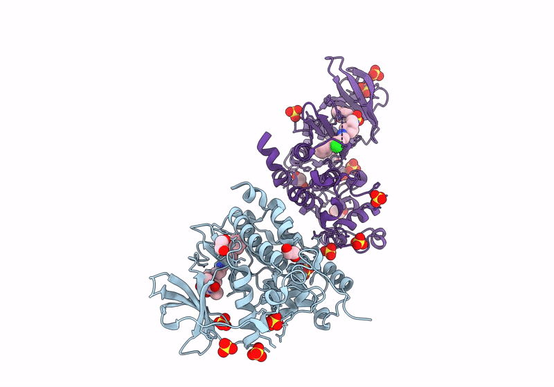 9EPV image
