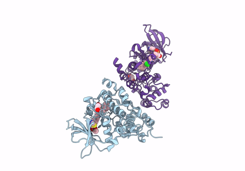 9EQ1 image
