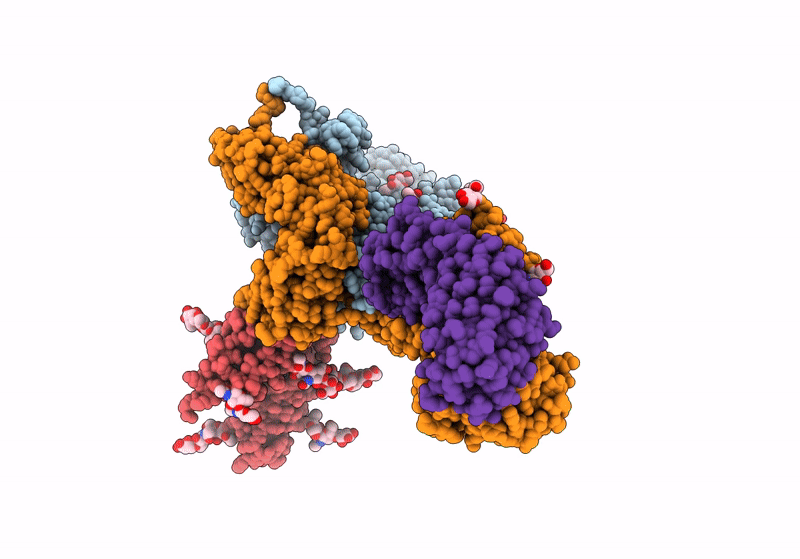 9EQ3 image
