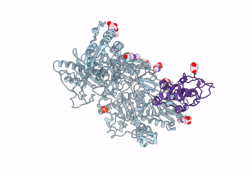 9EQ6 image