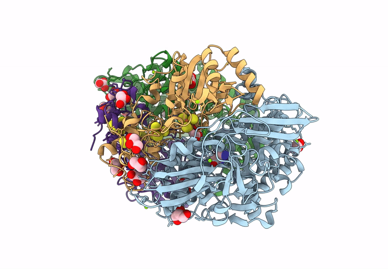 9ERC image