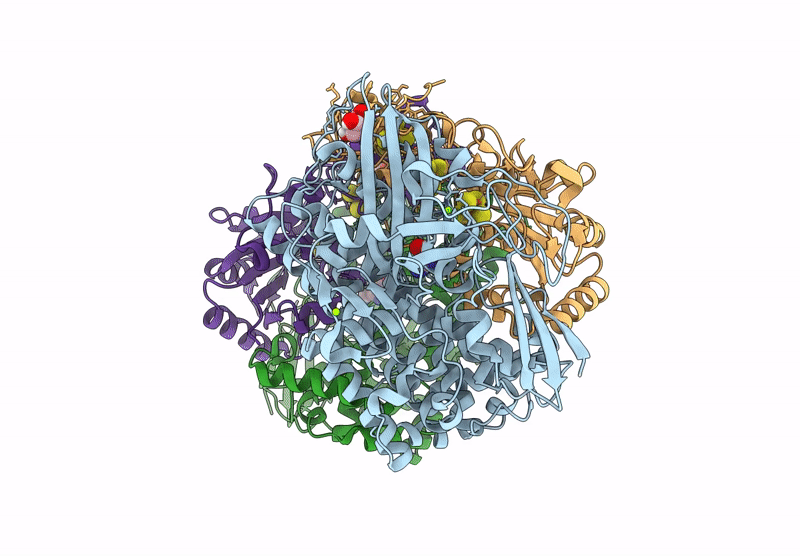 9ERP image