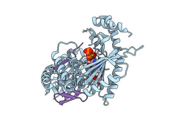 9ERV image