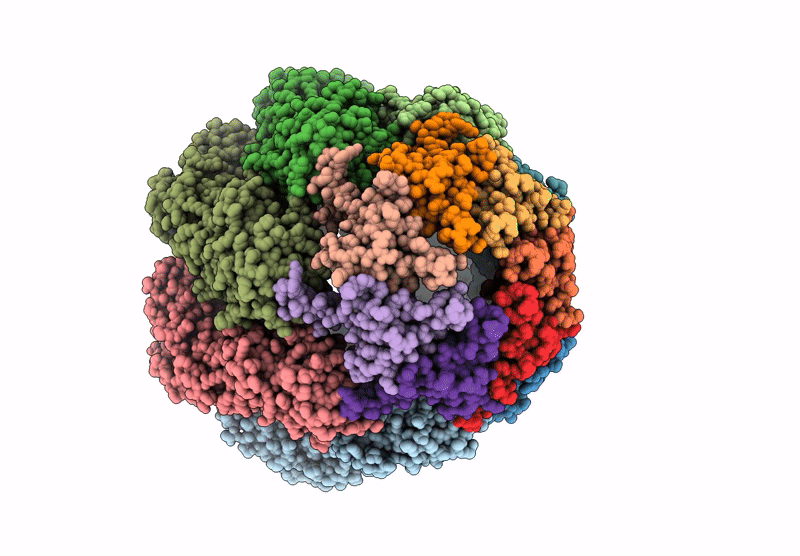 9ES5 image