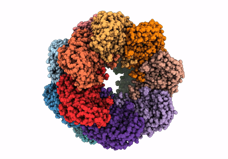 9ES6 image