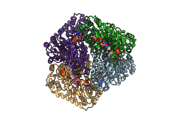 9EV6 image