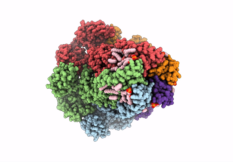 9EV8 image