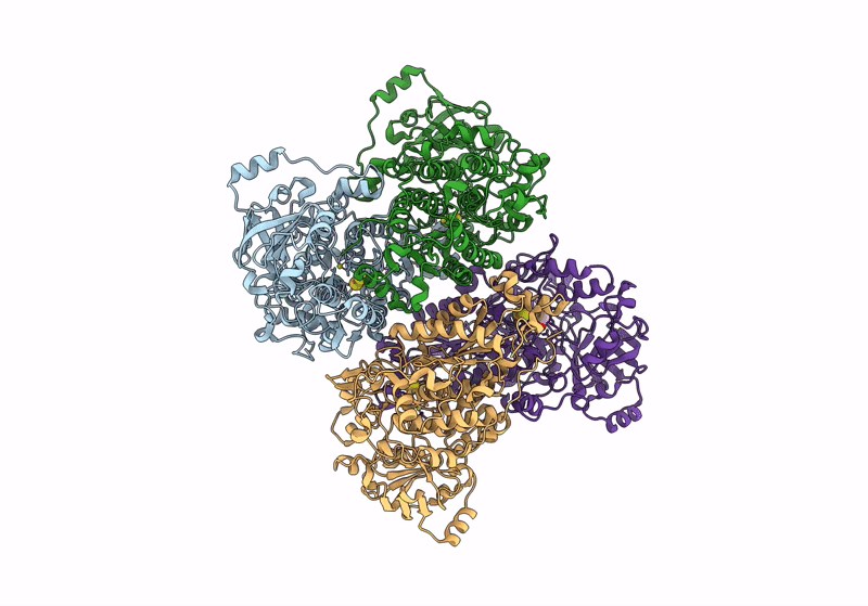 9EVV image