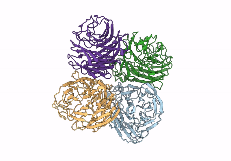 9EWQ image