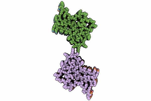 9EWV image