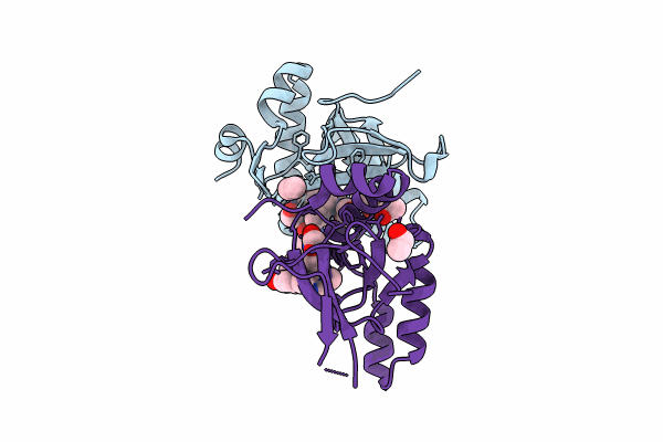 9EXX image