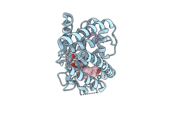 9EZ2 image