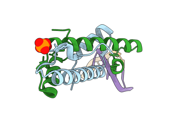 9EZZ image