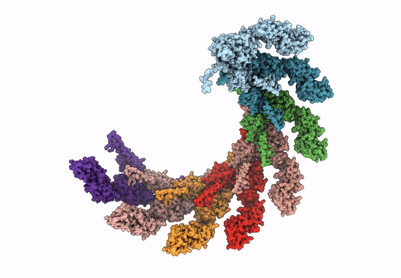 9F05 image